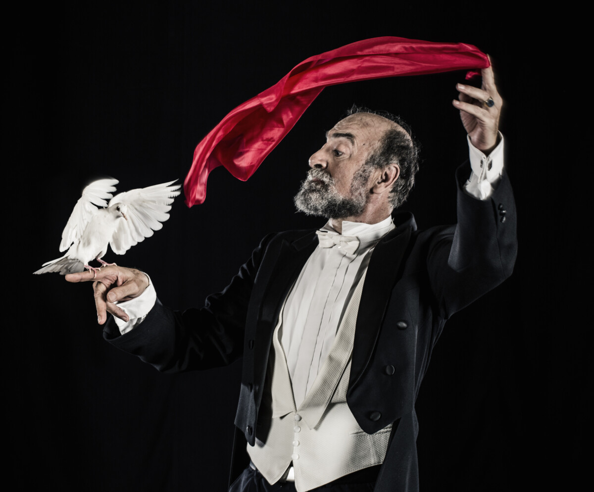 Magician doing trick with doves | nk insider