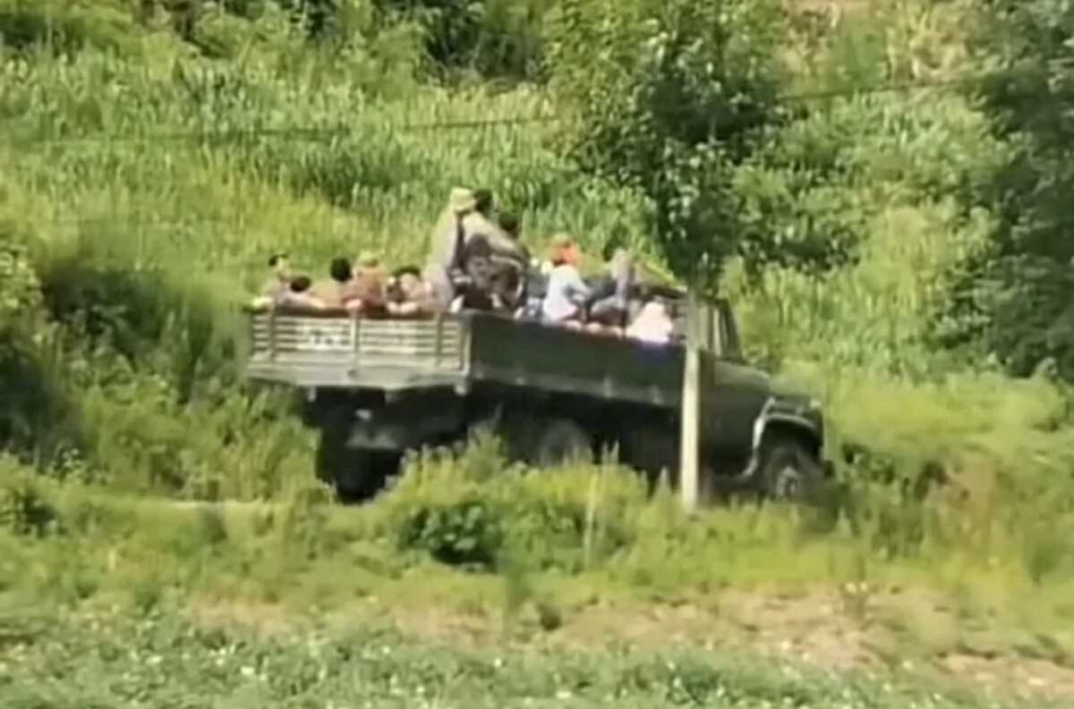 Nk truck | nk insider