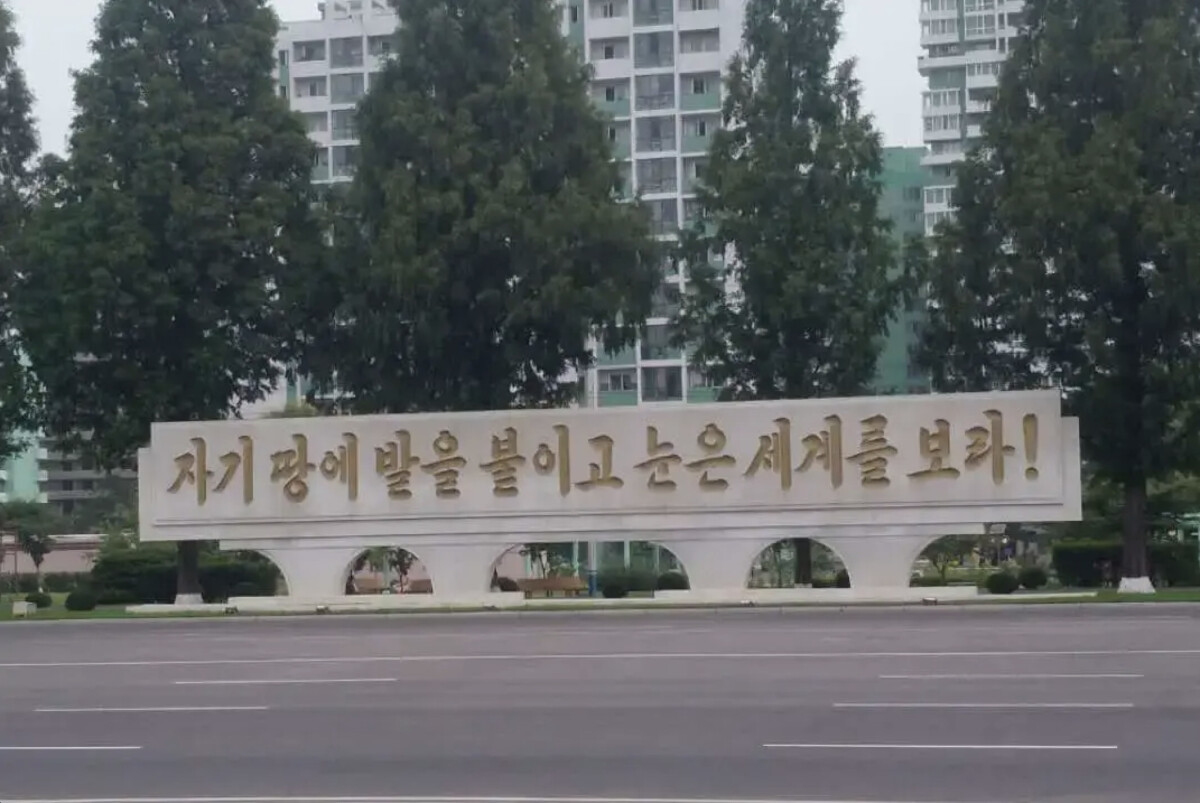 Image zhuanlan | nk insider