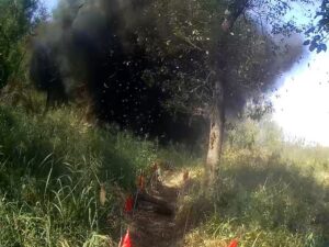 black smoke billows from a forested area with a dirt footpath and orange safety flags along the ground nearby