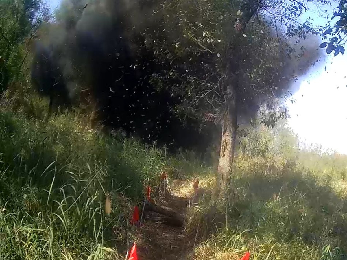 black smoke billows from a forested area with a dirt footpath and orange safety flags along the ground nearby